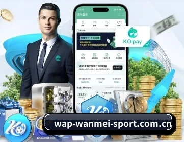 完美体育 APP 深度功能